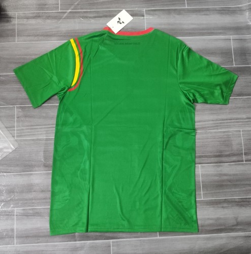 25/26 Cameroon home football shirt