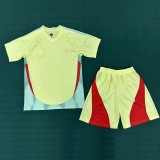 24/25 Spain Away Adult Set