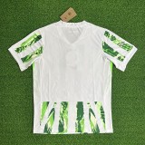 25/26 Nigeria home football Jersey