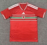25/26 Wales home football Jersey