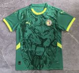 24/25 Senegal home football Jersey