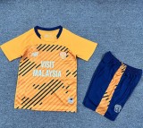 25/26 Cardiff City third kids kit