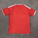 2026 Wales Special Edition football Jersey
