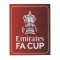 FA Cup（英格兰足总杯 ）