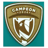 25-26 Colo-Colo 100th Anniversary Black Fans Soccer Jersey *黑队标