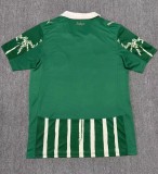 25-26 Palmeiras Special Edition Fans Soccer Jersey