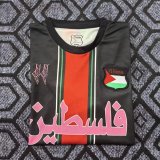 25-26 Palestine Special Edition Fans Soccer Jersey