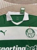 25-26 Palmeiras Special Edition Fans Soccer Jersey