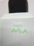 25-26 Algeria Light Green Player Version Training shirts