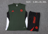 25-26  Bayern High quality Tank Top And Shorts Suit