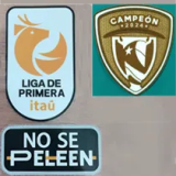 25-26 Colo-Colo 100th Anniversary Black Fans Soccer Jersey *黑队标