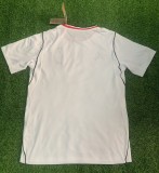 25-26 France Special Edition Fans Soccer Jersey