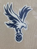 25-26 Crystal Palace Away Player Version Soccer Jersey 1:1 Thai Quality