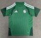 25-26 Mexico Green Special Edition Fans Training shirts