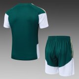 2026 AD Green High Quality Player Version Training Short Suit (球员套装)