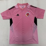 25-26 Colombia Pink GoalKeeper Fans Soccer Jersey