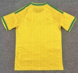 2026 South Africa Home Fans Soccer Jersey
