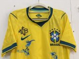 2026 Brazil Embroidered Version Player Version Soccer Jersey