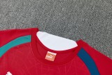 26-27 Portugal High Quality Training Short Suit