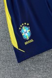 26-27 Brazil High Quality Training Short Suit