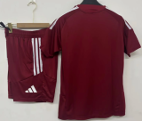 26-27 Sevilla High Quality Training Short Suit