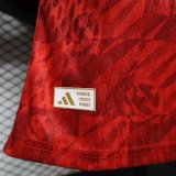 26-27 LIV Special Edition Player Version Training Shirts