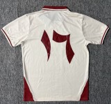 25-26 Palestine Special Edition Fans Soccer Jersey