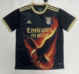 25-26 Benfica Special Edition Fans Soccer Jersey