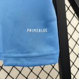 2021 Japan 100th Anniversary Fans Soccer Jersey