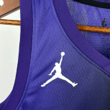 23-24 Kings LAVINE #8 Purple Top Quality Hot Pressing NBA Jersey (Trapeze Edition)飞人版