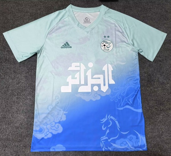 25-26 Algeria Special Edition Fans Soccer Jersey