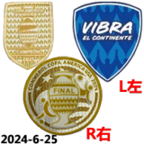 24-25 Argentina 50th Commemorative Edition Fans Soccer Jersey