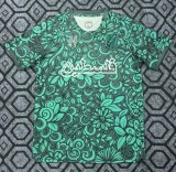 25-26 Palestine Green Special Edition Fans Soccer Jersey