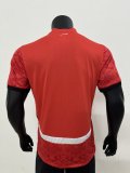 25-26 Egypt Home Player Version Soccer Jersey