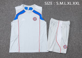 25-26 Bayern High quality Tank Top And Shorts Suit
