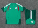 26-27 Algeria High Quality Training Short Suit