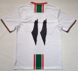 26-27 Palestine Special Edition Fans Soccer Jersey