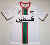 26-27 Palestine Special Edition Fans Soccer Jersey
