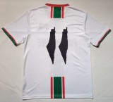 26-27 Palestine Special Edition Fans Soccer Jersey