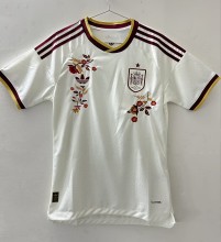 2026 Spain Embroidered Version Soccer Jersey