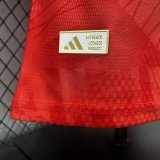 26-27 Benfica Home Player Version Soccer Jersey