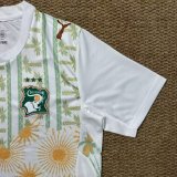 2026 Cote d'Ivoire Away Fans Soccer Jersey