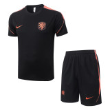 26-27  NetherIands High Quality Training Short Suit
