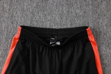 26-27  NetherIands High Quality Training Short Suit