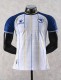 2026 World Cup Bosnia And Herzegovina Away Player Version Soccer Jersey