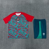 26-27 Portugal High Quality Training Short Suit
