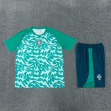 26-27 Portugal High Quality Training Short Suit