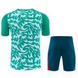 26-27 Portugal High Quality Training Short Suit