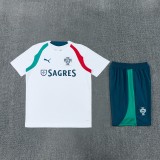 26-27 Portugal High Quality Training Short Suit
