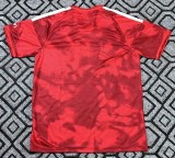 26-27 Nottingham Home Fans Soccer Jersey*带广告